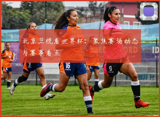 北京卫视看世界杯：聚焦赛场动态与赛事看点